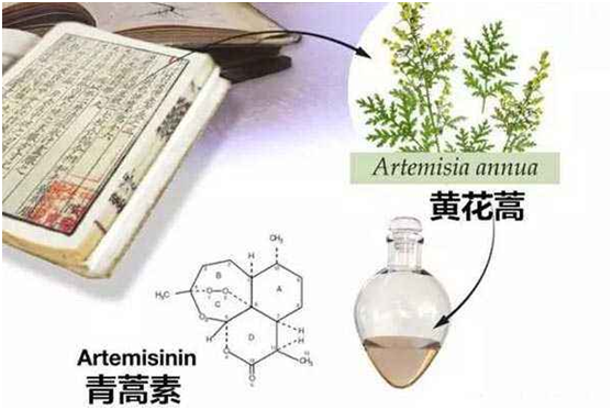 九游娱乐最新官网（中国）官方网站,登录入口：向中医药看齐，与世界共享中医药文化(图1)